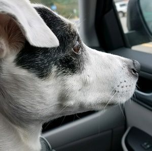 Meet your Posher, Gayna